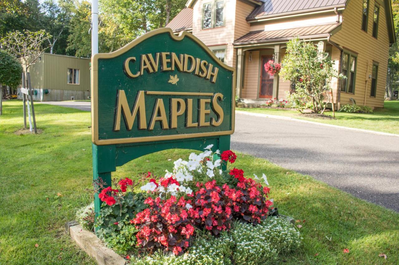 Cavendish Maples Cottages Eksteriør billede